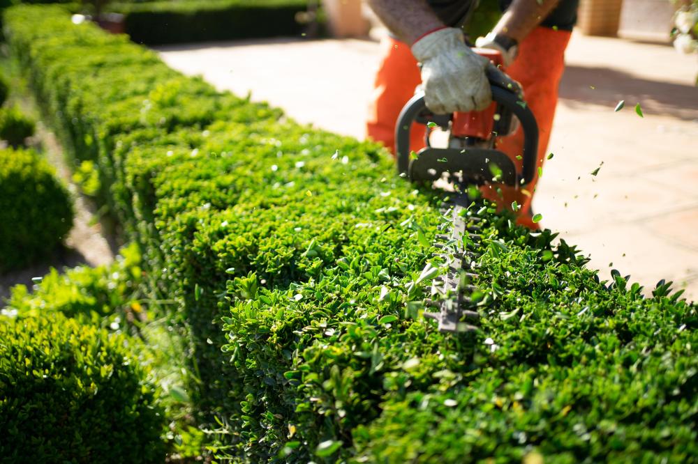 entretien de jardin à Mazières-en-Mauges